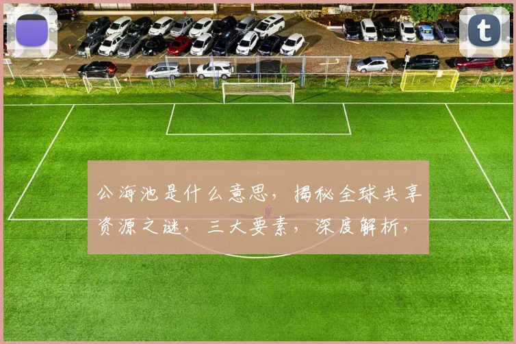 公海池是什么意思，揭秘全球共享资源之谜，三大要素，深度解析，一探究竟