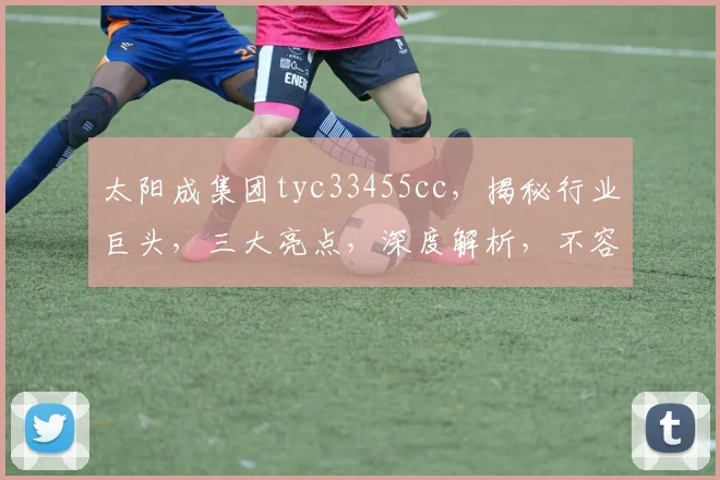 太阳成集团tyc33455cc，揭秘行业巨头，三大亮点，深度解析，不容错过