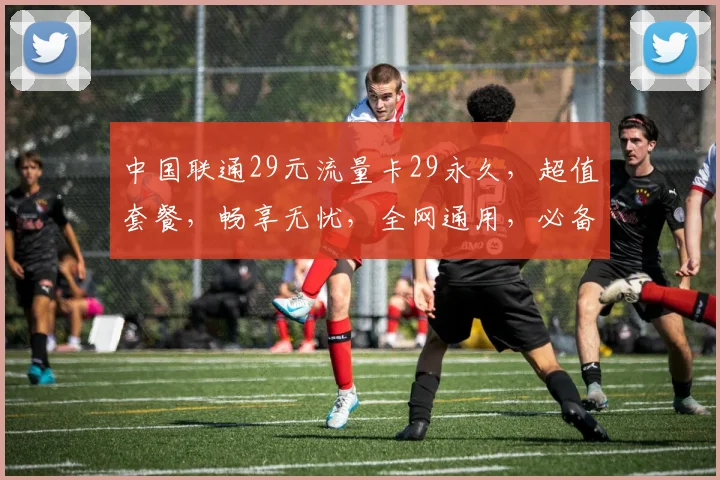 中国联通29元流量卡29永久，超值套餐，畅享无忧，全网通用，必备神器，轻松办理