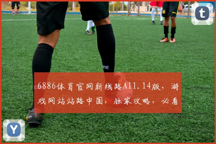 6886体育官网新线路A11.14版，游戏网站站路中国，独家攻略，必看三步，轻松上手