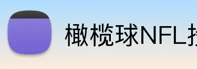 橄榄球NFL投注 Logo